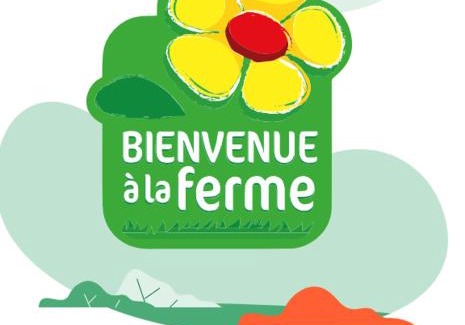 Barbentane Other | Emplacement camping car chez agriculteur branchement électrique