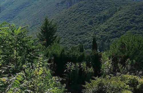 Mollans-sur-Ouveze Apartment | En Provence à MOLLANS