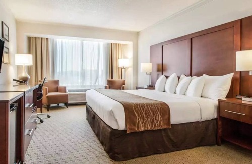 Cow Hollow House | Enjoy a great night's rest in the heart of the city!