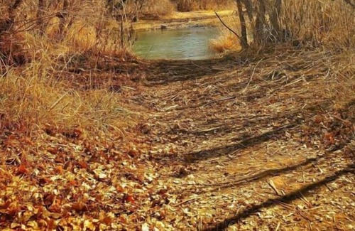 Camp Verde House | Enjoy a Hassle Free and Suiting Stay! Pets Allowed, Near Grand Canyon Tours!