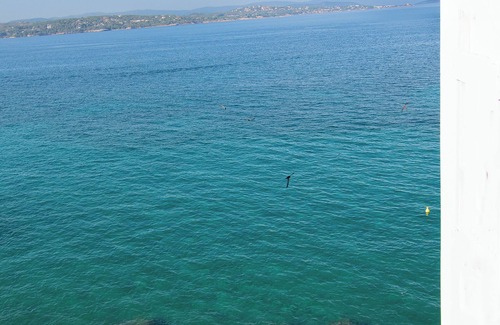 Spetses Apartment | Enjoy the sea view from the comfort of your bed! - Queen sized bed studio