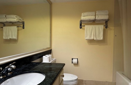 Wesley Chapel Condo | Enjoy the views in Saddlebrook