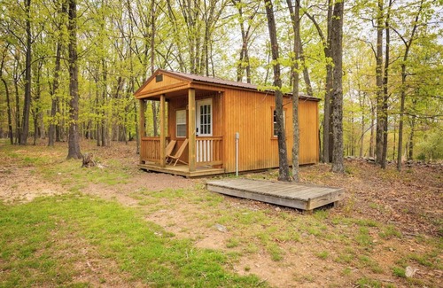 Berkeley Springs Apartment | Enjoy this cabin/tiny home on 24 acres of oak and hickory forest close to Berkeley Springs, WV