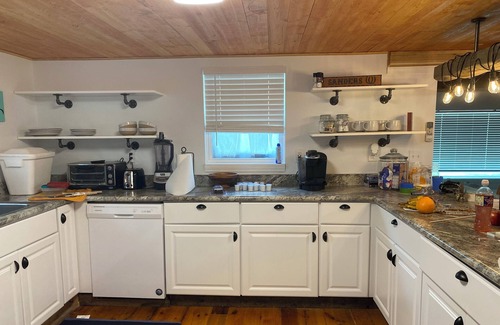 Jenkins Cabin | ENTIRE Lake cabin 17 miles from SilverDollar City. Very private! Request video