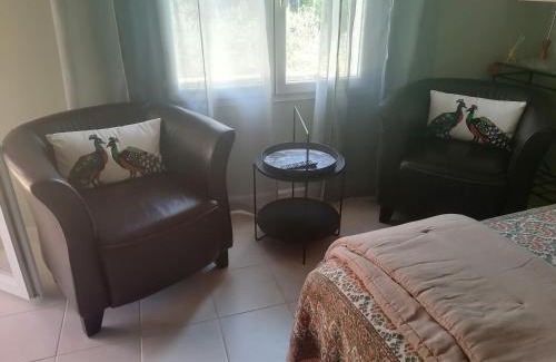 La Roque-d'Antheron House | Entre vignes & Piano "Caudalie" chambre d'hôtes