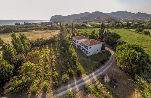 Eresos-Antissa Apartment | Eressos Ilios Apartments