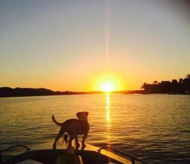 Colchester House | Erik's Place