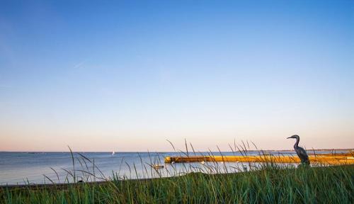 Concarneau House | -ERNEST-Maison avec jardin a 200m des plages