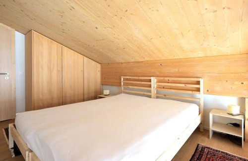 Arosa Apartment | Erzhornblick