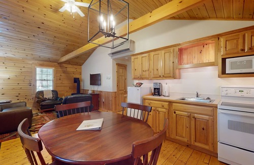 Northport Cabin | Escape to a dog-friendly cabin w/streaming, kitchen, fireplace & nature nearby