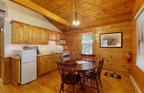 Northport Cabin | Escape to a dog-friendly cabin w/streaming, kitchen, fireplace & nature nearby