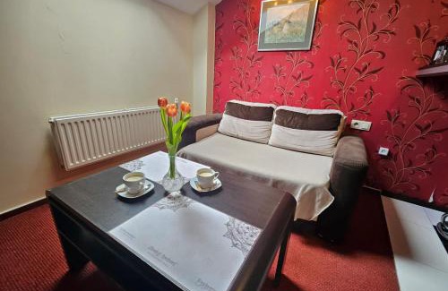Sosnowiec Apartment | Euphoria Residence