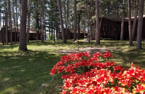 Park Rapids Cabin | Evergreen Bay Resort