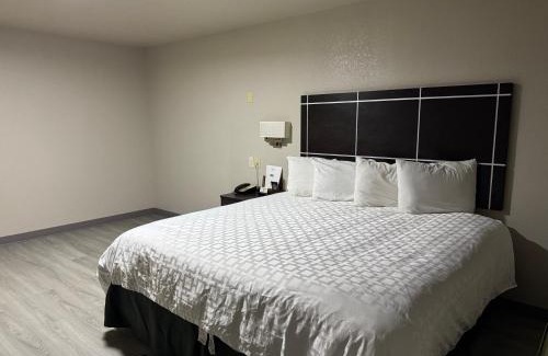 Crystal City Hotel | Executive inn