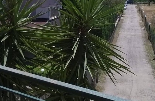 Mongiove Apartment | Experience nature a few meters from the sea