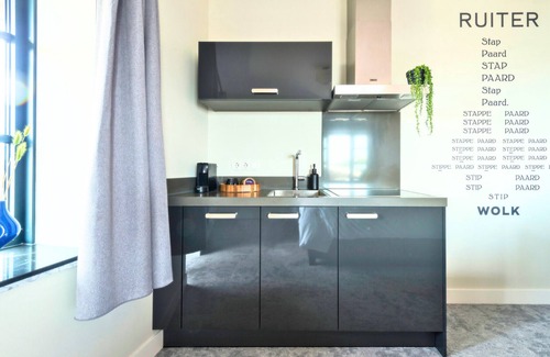 Centrum Apartment | Experience the unique style of Nelly van Doesburg in this cheap apartment in Tilburg.