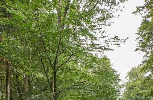 Skipton House | Experience unique wellbeing and nature-based activities on a 3000-acre Sanctuary