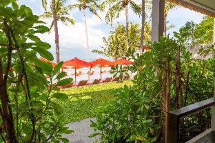 Haad Rin Resort | Explorar Koh Phangan - Adults Only Resort and Spa