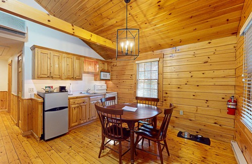 Northport Cabin | Explore nature cabin with kitchen, fireplace, WiFi, hiking & AC