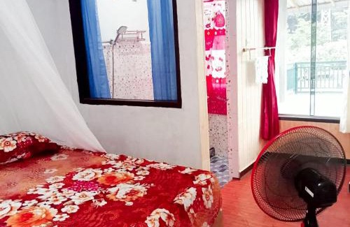 Bukit Lawang House | Explore Sumatra's WONDERS