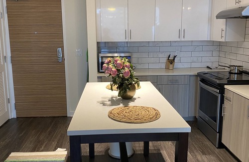 Midtown Apartment | Extravagant Atlanta Home