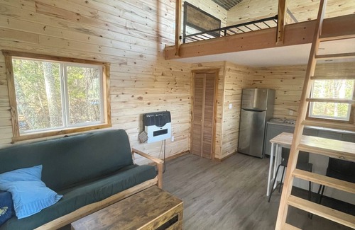Kenora Cabin | Extremely private remote get away, nestled in the pine trees on pristine lake