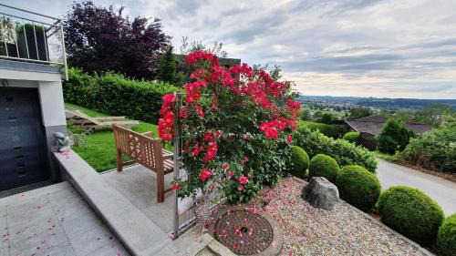 Hoerbranz Apartment | F E R I E N W O H N U N G "Am Halbenstein"