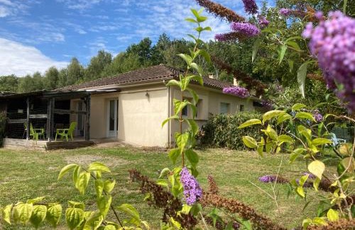 Compreignac Apartment | F1 noir/anis, avec terrasse couverte et jardin (E)