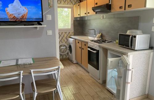 Compreignac Apartment | F1 noir/anis, avec terrasse couverte et jardin (E)