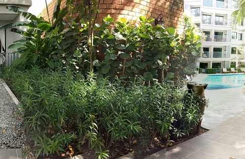 Sa Khu House | F109 Brand New Executive Luxury Condo Free Netflix