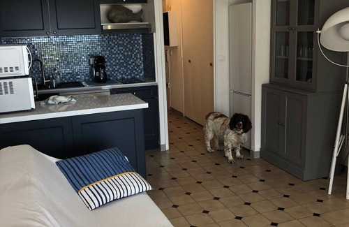 Palavas-les-Flots Apartment | F2 RENTAL FACING THE SEA 30M from the beach (ideal for 4/6 people)