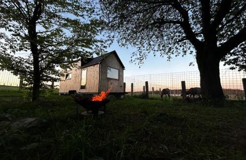 Jakartovice Other | FAJNhaus