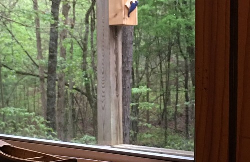 McCaysville Cabin | FALL SPECIAL! nnSpecial leaf-peeper prices!