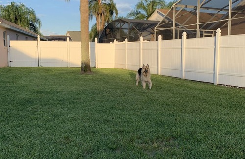 Windsor Palms House | Fall Specials! Pet-Friendly Fenced Home w/Pool & Spa Heat - 3 Miles from Disney