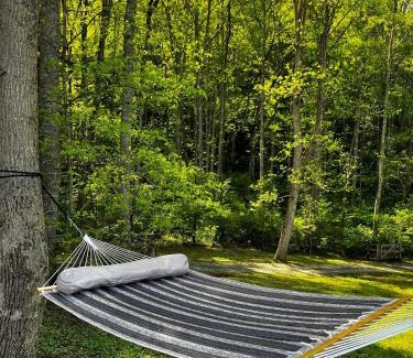 Sylva House | Fall25 Offhottubviewsfirepitwcu3minfamilies