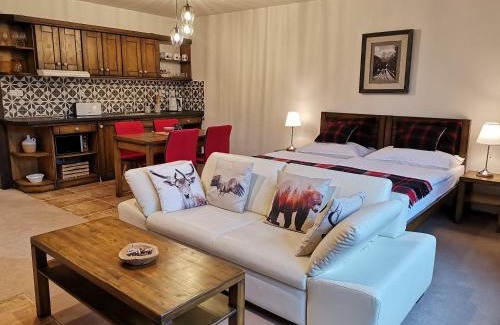 Tatranska Lomnica Apartment | Family apartment in Tatranska Lomnica