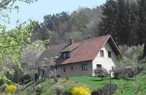 Neuve-Eglise House | Family Country Gite in Alsace, log fire, free wifi & parking, pet friendly