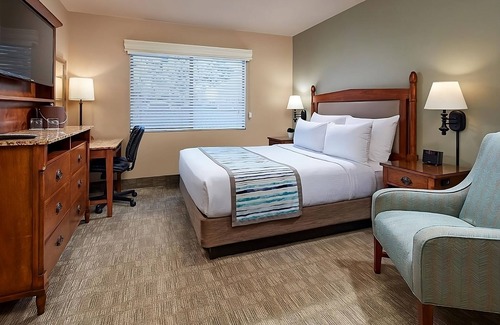 Coronado Hotel | Family Fun at SeaWorld San Diego! Beach Access, Heated Pool, Private Parking!