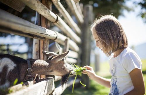 Maranza Hotel | Family Home Alpenhof