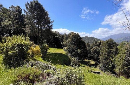 Tavera House | Family home with pool in the middle of the maquis