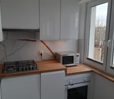 Swiecie Apartment | Family Suite Świecie