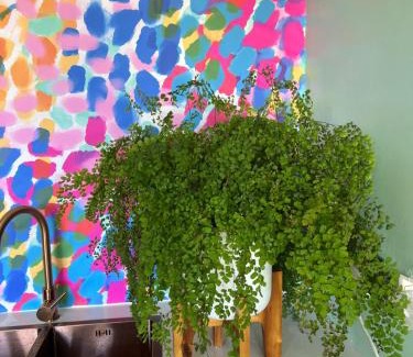 Opua House | Fantail Cottage