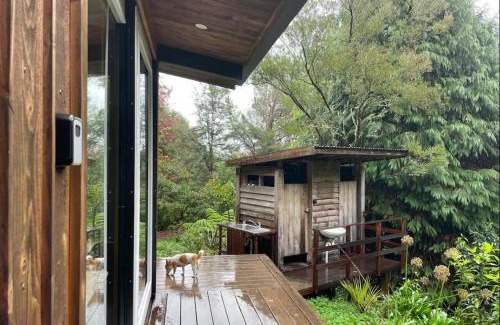 Takaka House | Fantail’s Nest in the forest