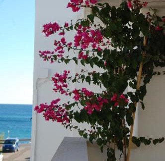Torre San Giovanni House | Fantastica casa in stile mediterraneo - Al Ficodindia