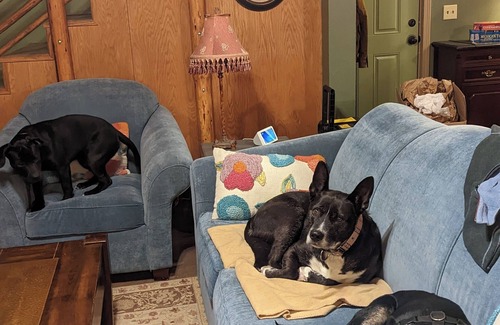 Roseburg House | Fantastic 3-bedroom house with AC in Roseburg