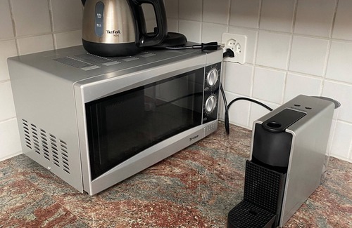 Kastanienbaum Apartment | Fantastic view of Lake Lucerne