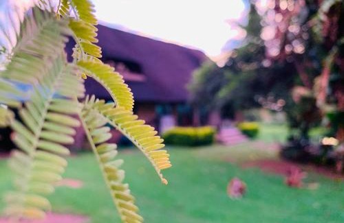 Madibeng Bed & Breakfast | Farm Vibes Guest House
