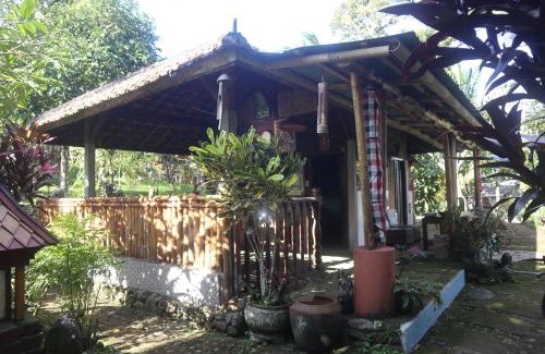Selemadeg Apartment | Farmstay Eco Villa