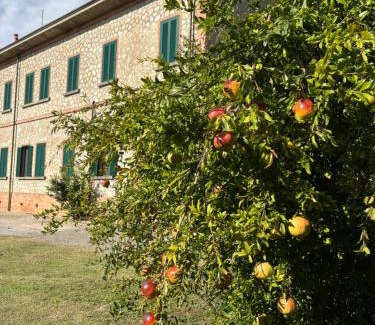 Orbetello Apartment | Fattoria Barca Colonna