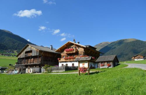 Valle di Casies Apartment | Feldererhof Apt Hochstein